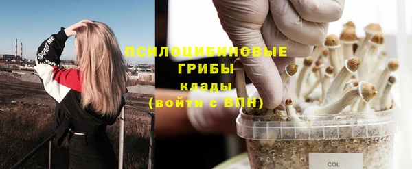 мяу мяу мука Абинск